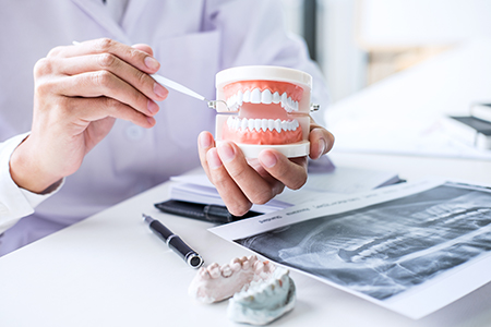 The image shows two photographs side by side on the left, a dentist holding a tooth model with a magnifying glass, and on the right, a hand holding a tooth model over an X-ray.